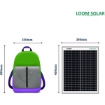 Loom Solar Panel 20 watt - 12 volt for Small Battery Charging